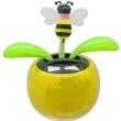 Solar Dancing Flower – Bee