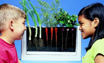 Scholastic Root-Vue Farm