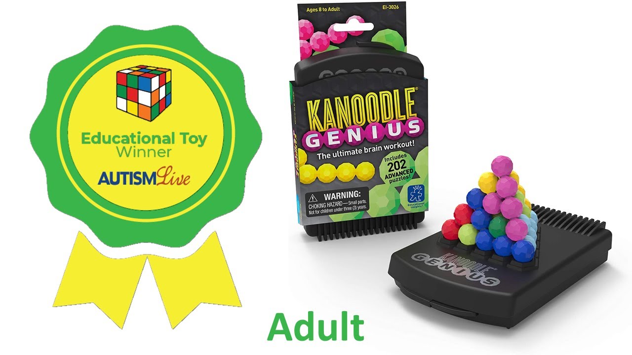 Best Educational Toy Winner Review – Adult: Kanoodle® Genius from Educational Insights®